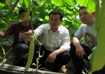李建设(中)教授指导员工蔬菜栽培技术
